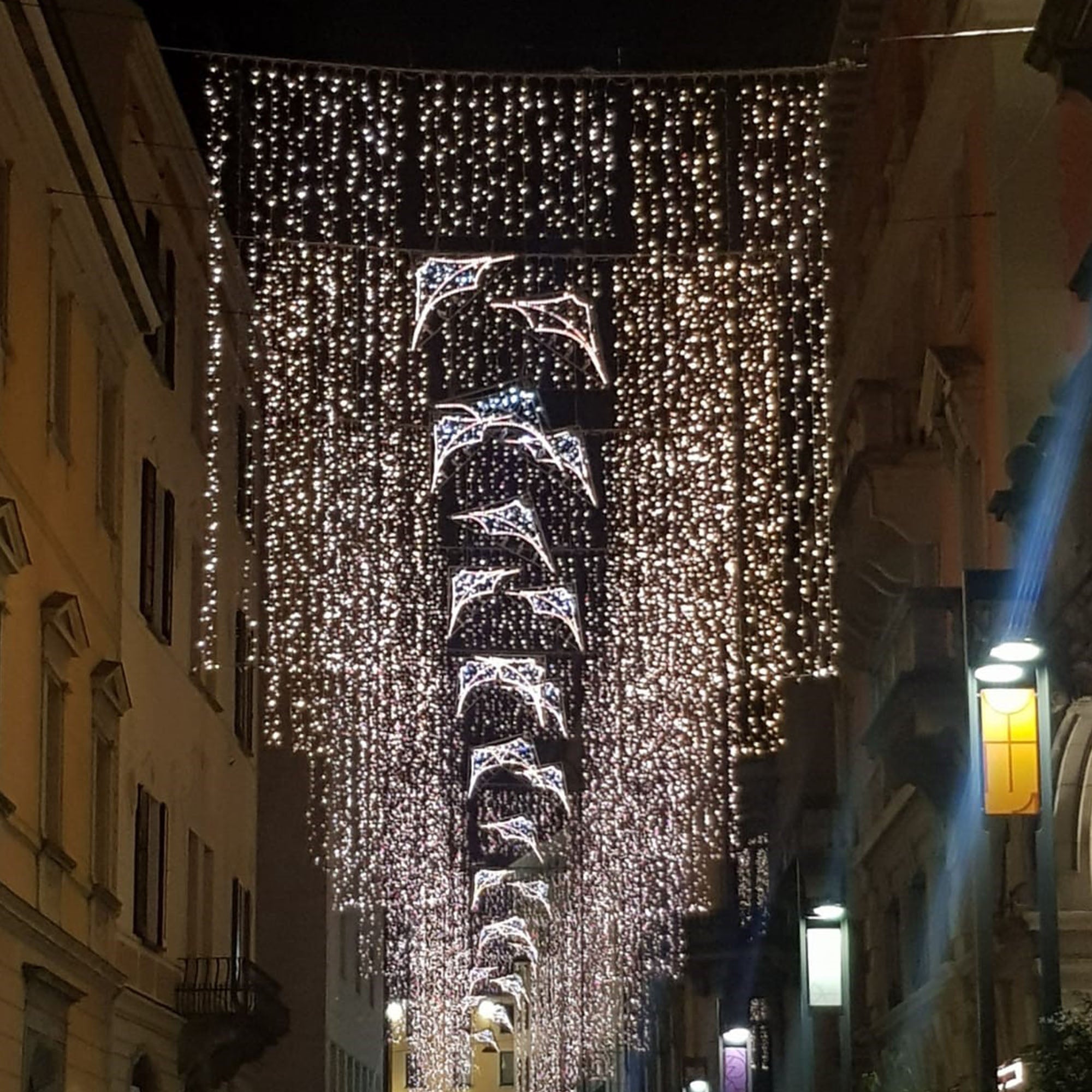 Rideau fixe H5 x L2m - 230V